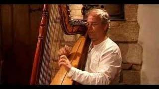 La Partida  played on Paraguayan harp [upl. by Lauber]