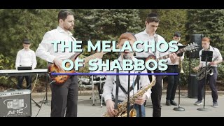 The Melachos of Shabbos [upl. by Ayanej]