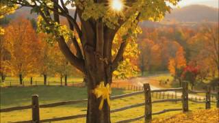 Tie a yellow ribbon round the ole oak tree Lyrics Fixed [upl. by Lazarus600]