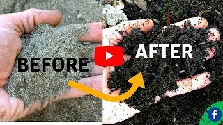 5 TIPS FOR BUILDING PERFECT HEALTHY SOIL FOR FREE [upl. by Meggs636]