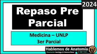 🔴👉Repaso Pre Parcial  Anatomía  CATEDRA C  UNLP  2024 [upl. by Ocnarf]