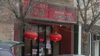 Chicagos Best Dumplings  Eds Potsticker House [upl. by Siroval471]