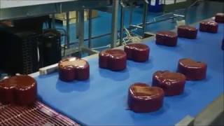 Enrober Cheese Wax Conveyor System [upl. by Yetak437]