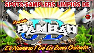 SPOTSSAMPLERS LIMPIOS DE SONIDO YAMBAO YAHIR PUEBLITA MTZ 2020 [upl. by Ikaz]