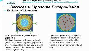 Altogen Labs Liposome Encapsulation Services [upl. by Hooper107]