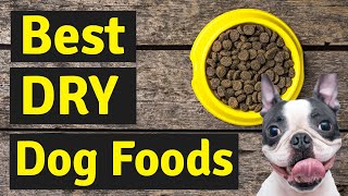 Best Dry Dog Food  5 Best Dry Dog Foods in 2022 Latest [upl. by Vilberg]