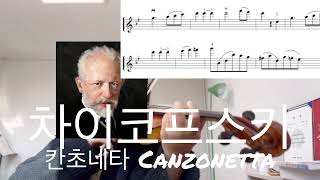 ㅣ차이코프스키 바이올린 협주곡 2악장 칸초네타 악보 연주 [upl. by Correy]