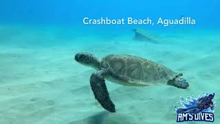 Scuba diving  Crash boat beach Aguadilla Puerto Rico part 3 [upl. by Yauqaj]