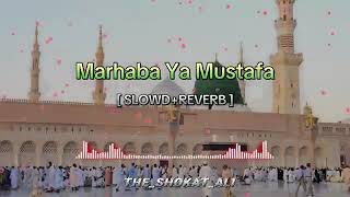 marhaba ya mustafa raushik🥰subscribe of like🥰🥰Theshokatali786 [upl. by Irish554]