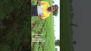 All fertilizer pesticide seed available oxygen BROFIRIYA agriculture [upl. by Abijah]