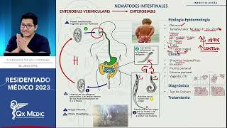 PARASITOLOGIA NEMÁTODES [upl. by Kciwdahc]