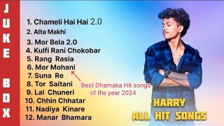 New odia viral song 2024  audio jukebox  Best of Hurry all Hit songs Harry all song [upl. by Einahpetse]