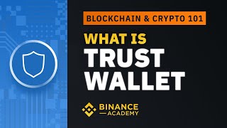 What is Trust Wallet｜Explained For Beginners [upl. by Hilario]