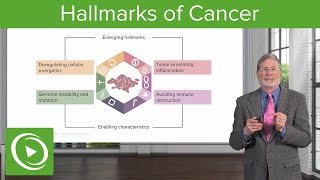 Hallmarks of Cancer [upl. by Aphrodite957]