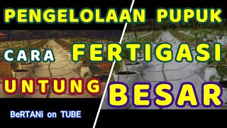 Pengelolaan Pupuk Dengan Cara Fertigasi [upl. by Tabor]