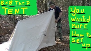 8x8 TARP TENT FULL SET UP INFORMATION [upl. by Hanikas770]