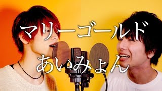 あいみょん「マリーゴールド」cover by MELOGAPPA 歌詞付き [upl. by Edecrem188]