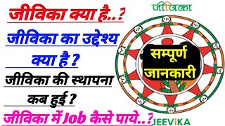 बिहार जीविका क्या है  जीविका में Job कैसे पाये  2021  सम्पूर्ण जानकारी हिंदी में 🔥🔥 [upl. by Nalek625]