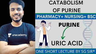 catabolism of purine nucleotides  purine Nucleotide catabolism  catabolism of purine biochemistry [upl. by Stacey]