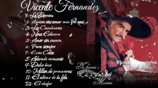 Vicente Fernandez Album para siempre [upl. by Neehsar202]