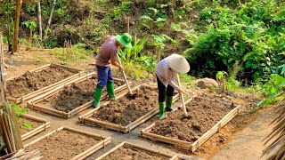 Planting Vegetables and Gardening for Winter The Beginning of a Green Life [upl. by Foy]