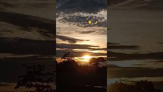 sunset sunsetview moon halfmoon skylapse sky beautiful love [upl. by Annuahs]