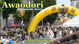 阿波踊りMaityouren dances at the 65th Tokyo Koenji Awaodori Festival  8242024 Koenji Tokyo Japan [upl. by Anselm]