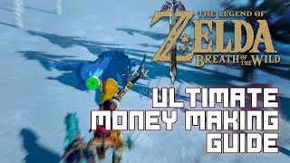 The Legend of Zelda Breath of the Wild  Ultimate Money Making Guide [upl. by Notniv]