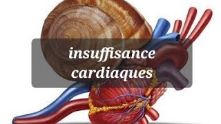 PHYSIOPATHOLOGIE DE LINSUFFISANCE CARDIAQUE [upl. by Daffodil]