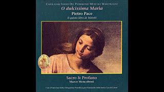 Pietro Pace  quotO dulcissima Mariaquot  3 Motets [upl. by Akimas207]