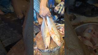 Amazing Poa Fish Cutting Skills  Fish Cutting Live  Fish Cutting Video shorts [upl. by Lipman]