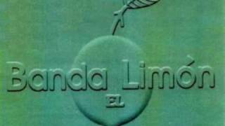 Banda El Limon  Si Por Casualidad con El Coyote [upl. by Llennor]