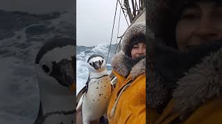 Giant Sea Monsters Caught by Fishermen 🐙🎣GiantSeaCreatures FishingDiscoveries OceanMysteries [upl. by Spearing]