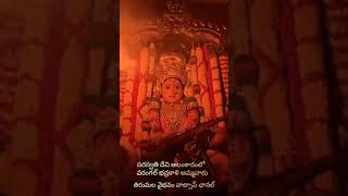 Moola Nakshatra Saraswati devi amma vari stotram [upl. by Roosevelt603]