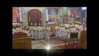 ክንፎ ጸለላKinfo Telela Ethiopia Orthodox mezmurSalitemariyam Kids Mezmerans [upl. by Enortna]