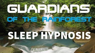 Guided Meditation for Deep Sleep quotGuardians of The Rainforestquot A Mind Hypnosis for Sleeping [upl. by Suravat706]