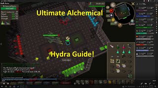 OSRS Alchemical Hydra Guide  PvM Mastery 3 [upl. by Cony127]