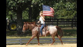 Smarty Great AllAround AQHA Red Roan Gelding [upl. by Huggins]