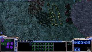 Zerg Hotkeys Control Groups [upl. by Lulita]