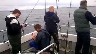 🎣 FISHING TOURATLANTICKILLYBEGSIRELAND Рыбалка в атлантике [upl. by Aryk]