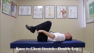 Williams Flexion Exercises for Lumbar Spine [upl. by Hortensia]