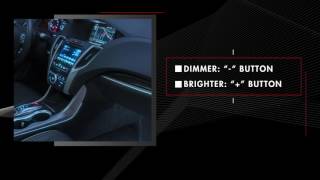 Acura  TLX  Ambient Accent Lighting [upl. by Rori506]