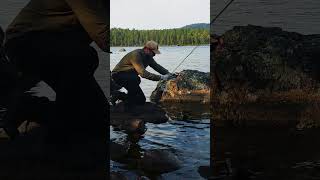 Truckbedcamping and stillwater fly fishing truckbedcamping lapland staycation [upl. by Boccaj668]