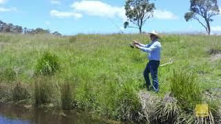 Dunvegan Aggregation  Auction 11 am 17th March 2021  New England Club Glen Innes [upl. by Assira]