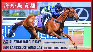 【海外馬直播】Australian Cup 澳洲盃 Flemington Racecourse 費明頓馬場 Tancred Stakes 鄧格錦標 Rosehill 玫瑰崗 Australia 澳洲 [upl. by Soalokin]