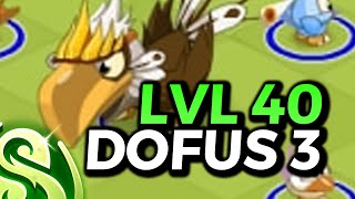 LVL 40 sur DOFUS 3  HUZ VOD DOFUS [upl. by Savart926]