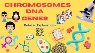 Genetics Terms I chromosome l DNA l GENES l [upl. by Adlih]