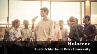 Bon Iver  Holocene Duke Pitchforks A cappella [upl. by Yesima]