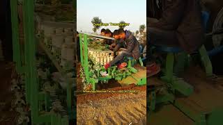 Seedlings Transplanter Precision Field Transplanting with CuttingEdge Transplanter planting [upl. by Innavoig]