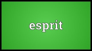 Esprit Meaning [upl. by Hope444]